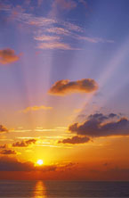 motivational and inspiring e-mail newsletter