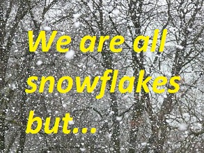 We are all snowflakes but ...